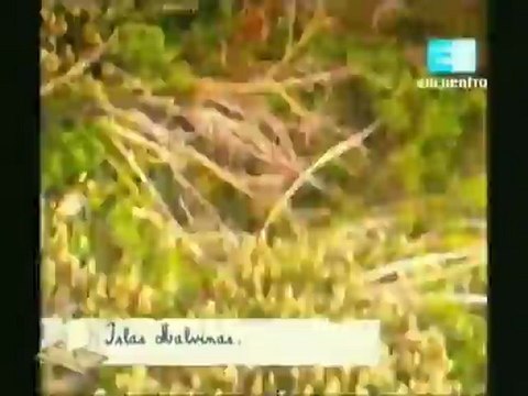 MALVINAS/FALKLANDS (1982-2012): Documental sobre el tema Malvinas.