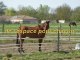 Ecurie de propriétaires Y-D HORSES PENSIONS : pension chevaux gironde