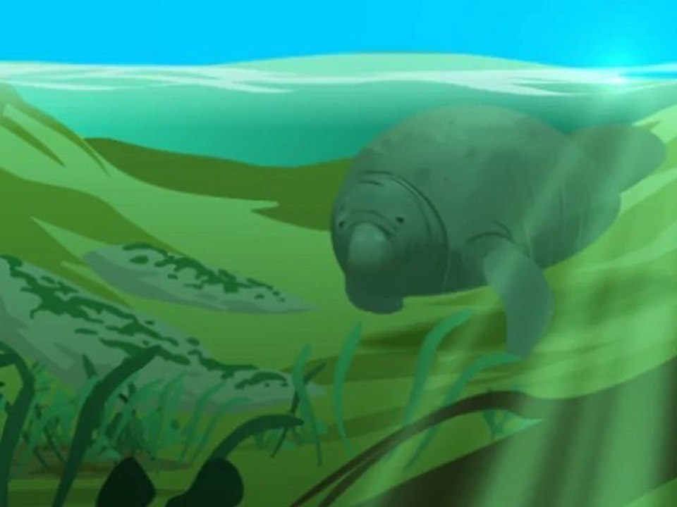 Lamantin animation Flash