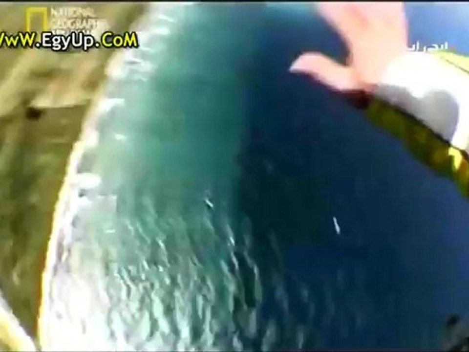 فيلم وثائقي عن القفز من الطائرات