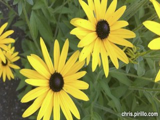 iPod touch Camera vs iPhone 4 - Still Photo Comparison