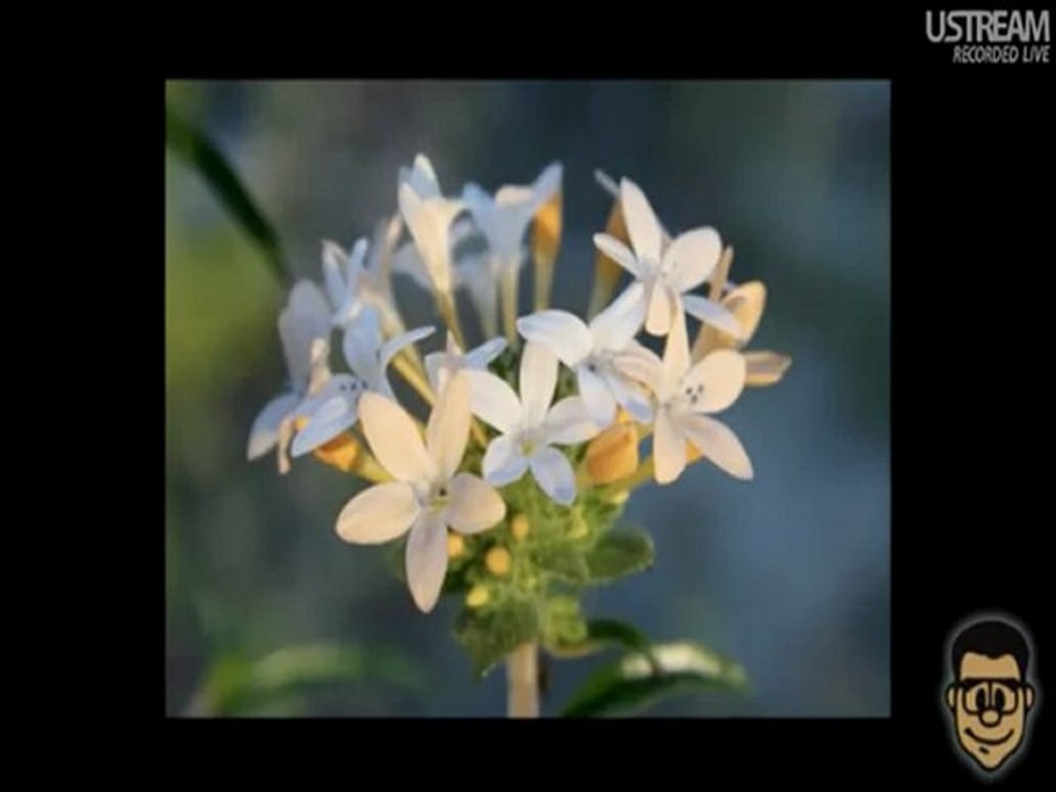 Sustainable Living at Gnomedex