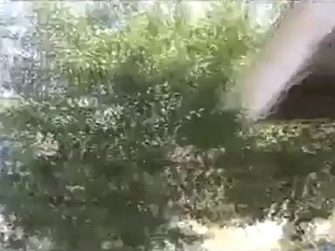 فري برس حماة المحتلة جامع زيد بن ثابت إطلاق النار من جهز غازيا فقد غزا6 4 2012