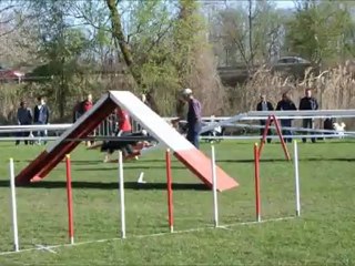 Concours Montigny 2012 - Les borders
