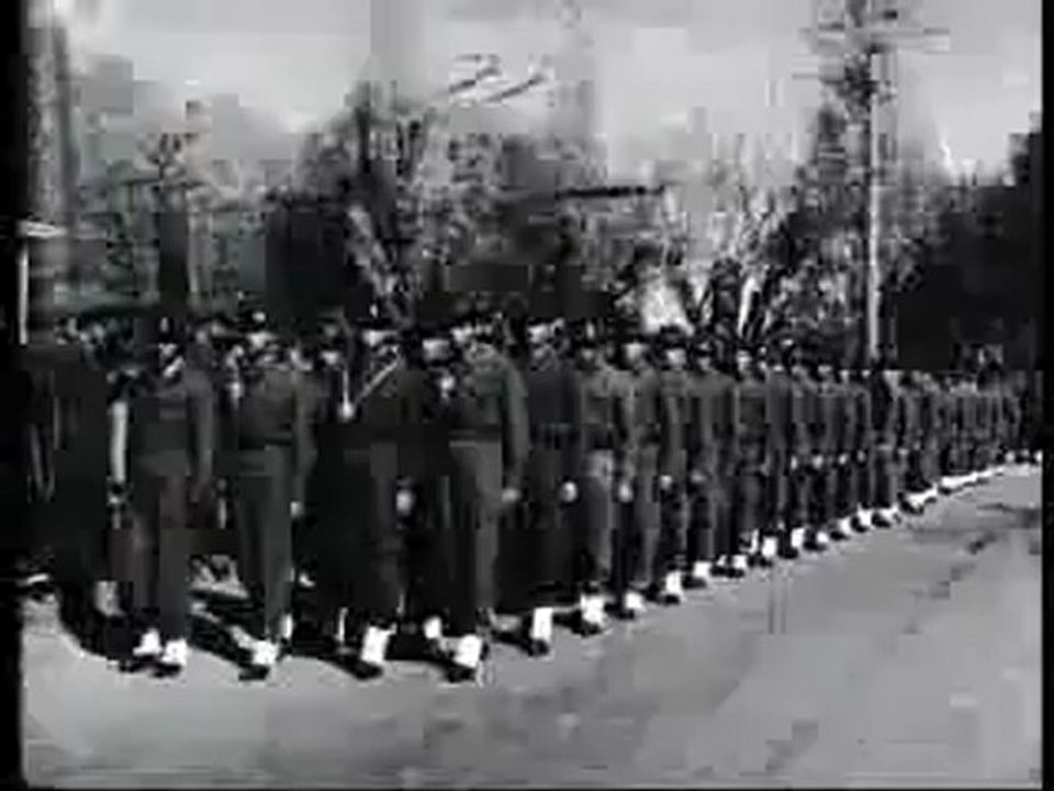 169309811529_29742