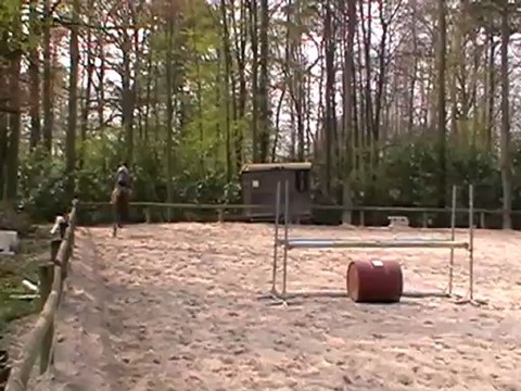 Goldava saut au trot