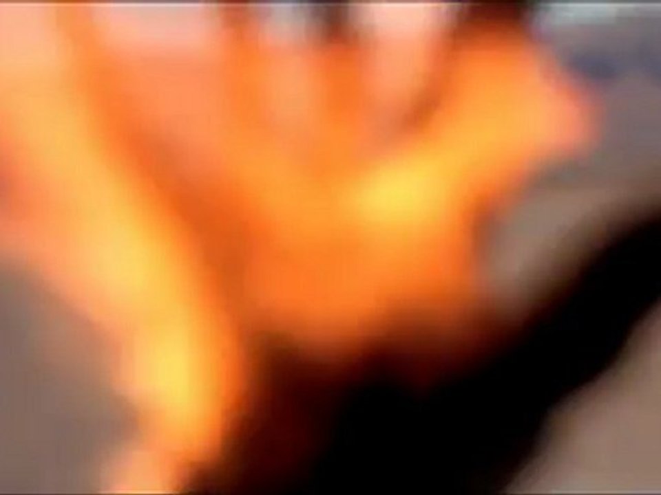 ALTERIAN INC. – ELECTROMA : Immolation