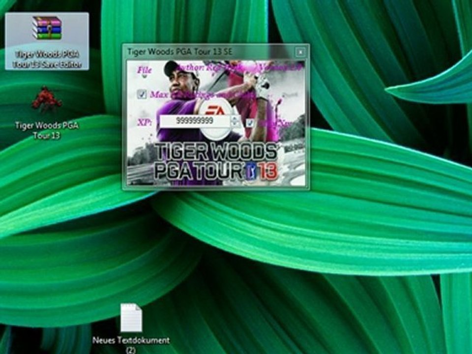 Tiger Woods PGA Tour 13 Save Editor