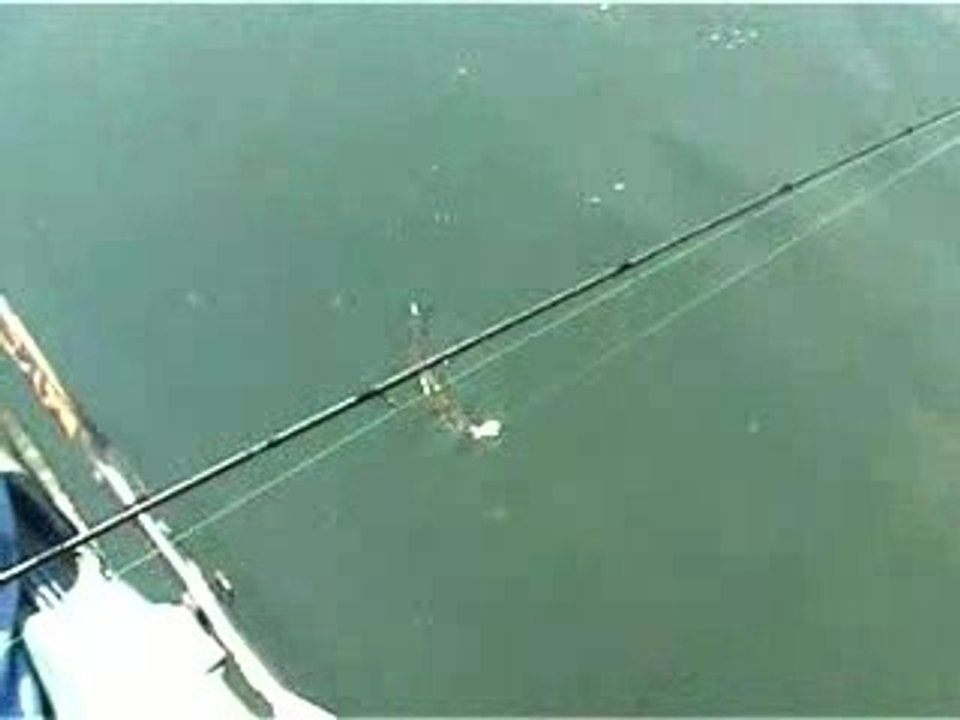 Video Black 10-09-2006 Montfrin