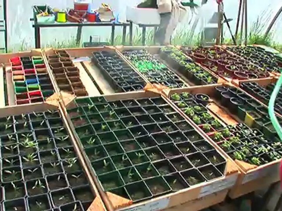 La Ferme alternative