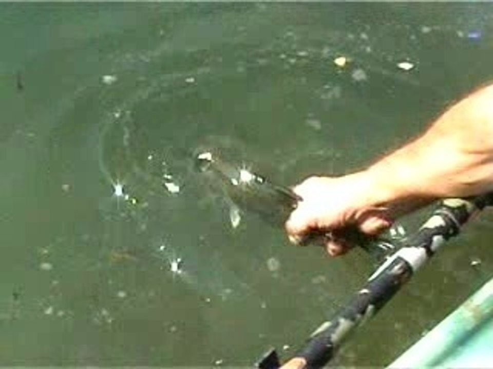 Remise Black10-09-2006 Montfrin