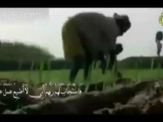 سورة آل عمران الآيات من 100 إلي 105الشيخ محمد المحيسني