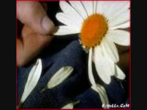 yerlimekan.com seslisohbet tanıdım vidolarsıdır Turku sevenler GOGOLYE YERLİMEKAN.COM YAZARAK sesli ve kamereli Sohbet etme imkani TURKIYENIN VE AVRUPANIN EN BUYUK Sitesıdır bence herkes gelip gormeli bu zevk bu sicak aile katılmamli butun dun