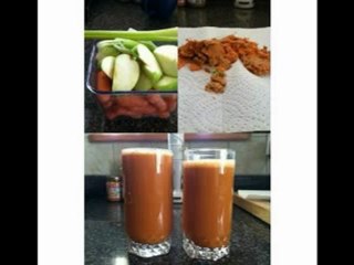 Super Angel Stainless Steel Juicer