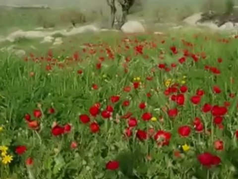 yerlimekan.com/ Seni Seviyorum Kivircik Ali MuRaT TANİDİM VİDOSUDUR Seslicahat. kamereli Sohbet yerınAy Buluta Girmis Gece Yarisi