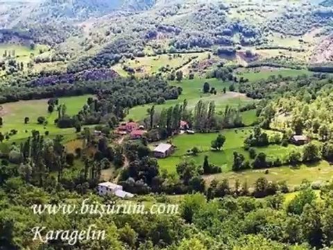 Akkuşlu Metin - Şu Akkuşun Gürgenleri