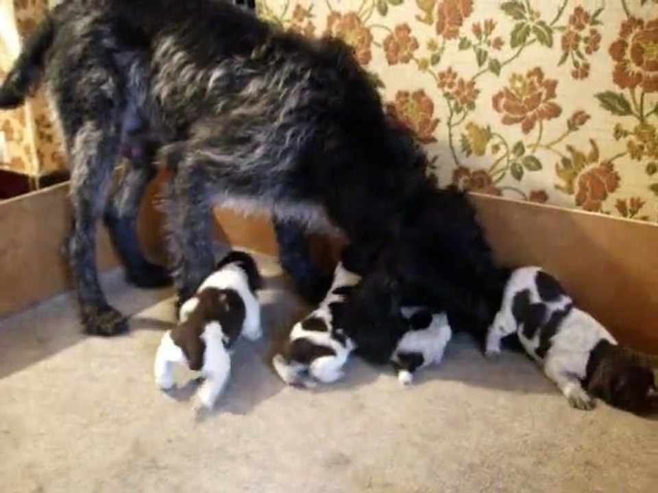 LES BEBES S EVEILLENT 5