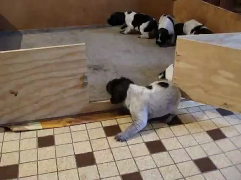 LES BEBES S EVEILLENT 2