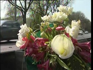 anziano investito replica di carrai