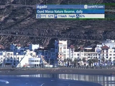 London - United Kingdom, Macau SAR - China, Yas Island - UAE - Abu Dhabi, Cannes - France, Agadir - Morocco, Doha - Qatar, Barcelona - Spain