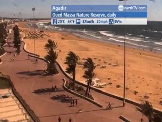 Agadir - Morocco, St. Andrews - Canada, Cannes - France, Doha - Qatar, Geneva - Switzerland, Tenerife - Spain, Avignon - France