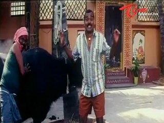 Neighbours Enjoying L B Sriram Wife's Hot Thighs