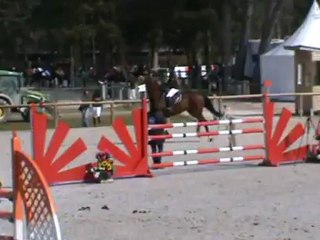 Quehops grand prix 1.20m fontainebleau