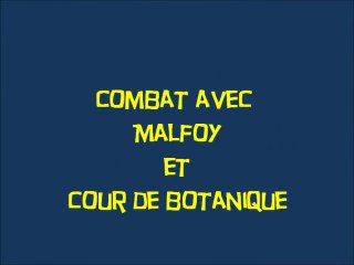 Harry Potter a l'ecole des sorciers (03)  Combat avec Malfoy et cour de botanique