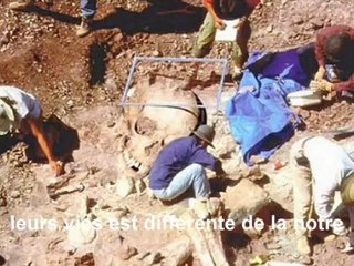 L'âge minimum du mariage et relations sexuelles dans la Bible et Evangile