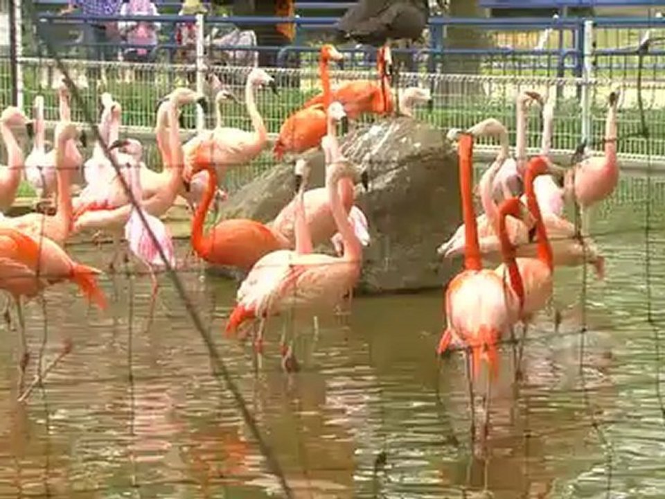 Su_ni_Na.6.yeppudaa.com