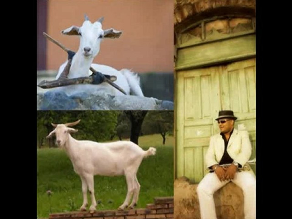 RODHEN SANTOS-La Chiva Blanca