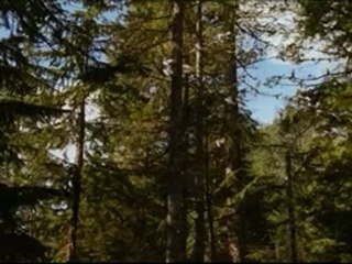 Трейлер Рассвета, часть 2 (русская озвучка)