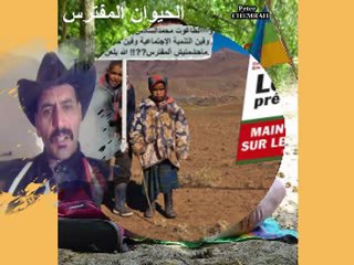 Mohamed6 le roi predateur الشعب رجم وطرد الملك المفترس من خريبكَة