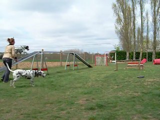 AGILITY WE DE PAQUES 2