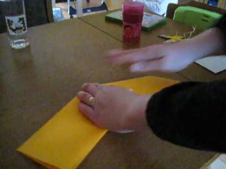 Pliage de serviette en lapin