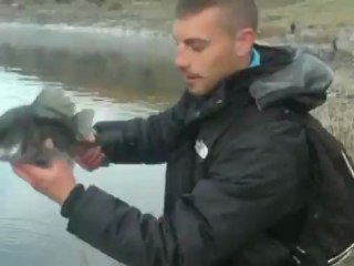 lucioperkins y basses