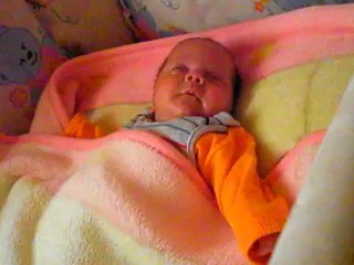Melek 17