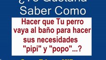 Como Enseñar a un Perro a ir al Baño a Hacer Sus Necesidades Chchi Popo | ComoEducarMiPerro.com