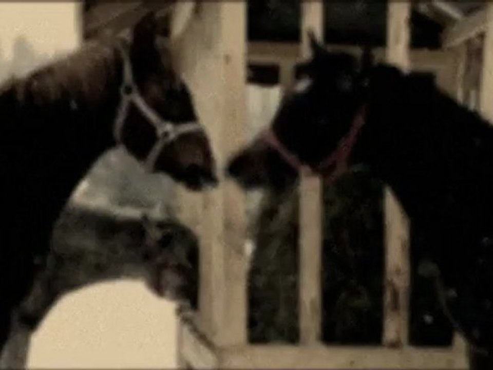 Kraina pięknych koni - wg. Andrieja Skolnikowskiego