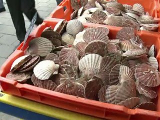 Portrait de campagne: Marine Le Pen au Tréport