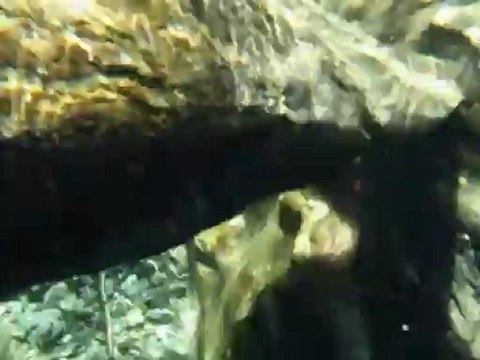 Canyoning Chassezac Grandeur Nature