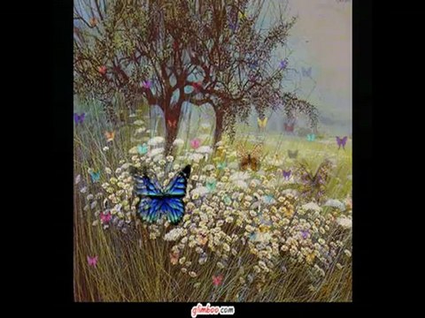 DO FUNDO DO MEU CORAÇÃO - VICENTE TELLES