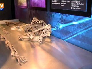 Enquête policière pour découvrir la préhistoire