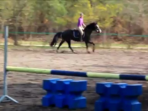 Séance saut anniversaire Curly