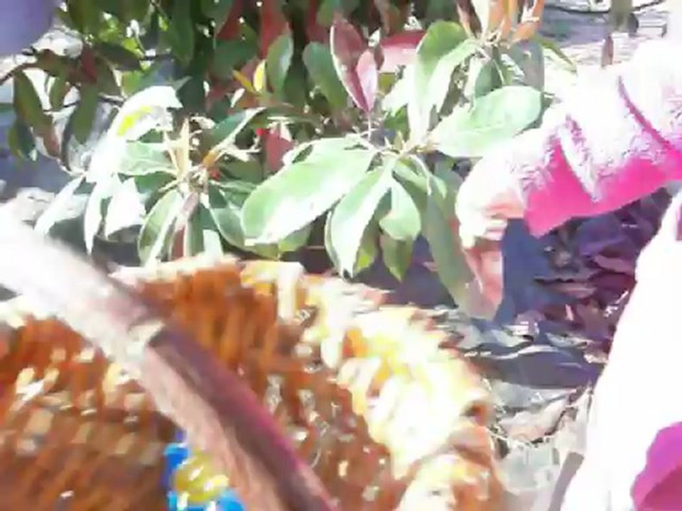 Candice et Jasmine Paques 2012