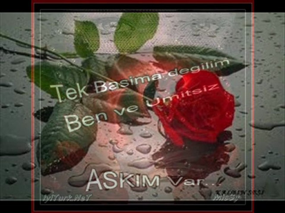 Ben sende Tattım Aşkı sevdayı