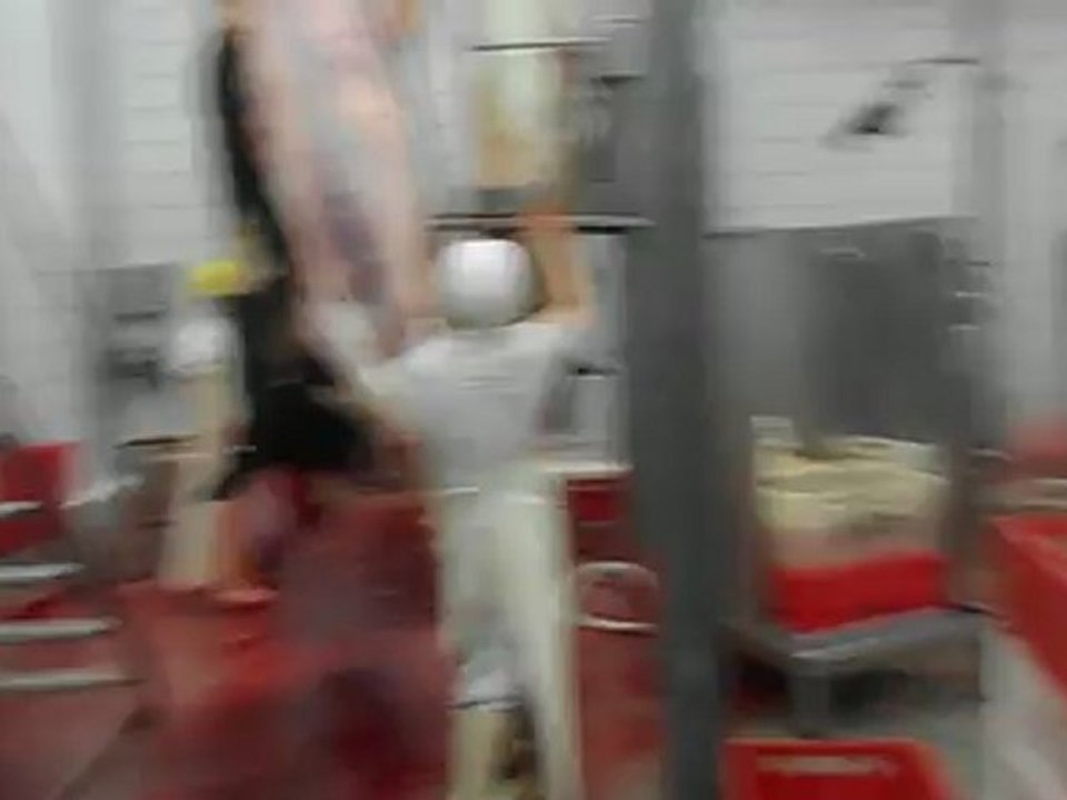 POLONYA'DAN İTHAL EDİLEN ETLERİN HİKAYESİ...