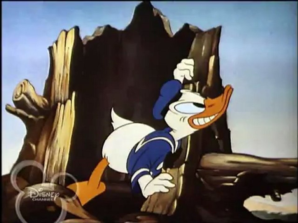 Kaczor Donald - Polowanie z aparatem (www.twojebajki.boo.pl)