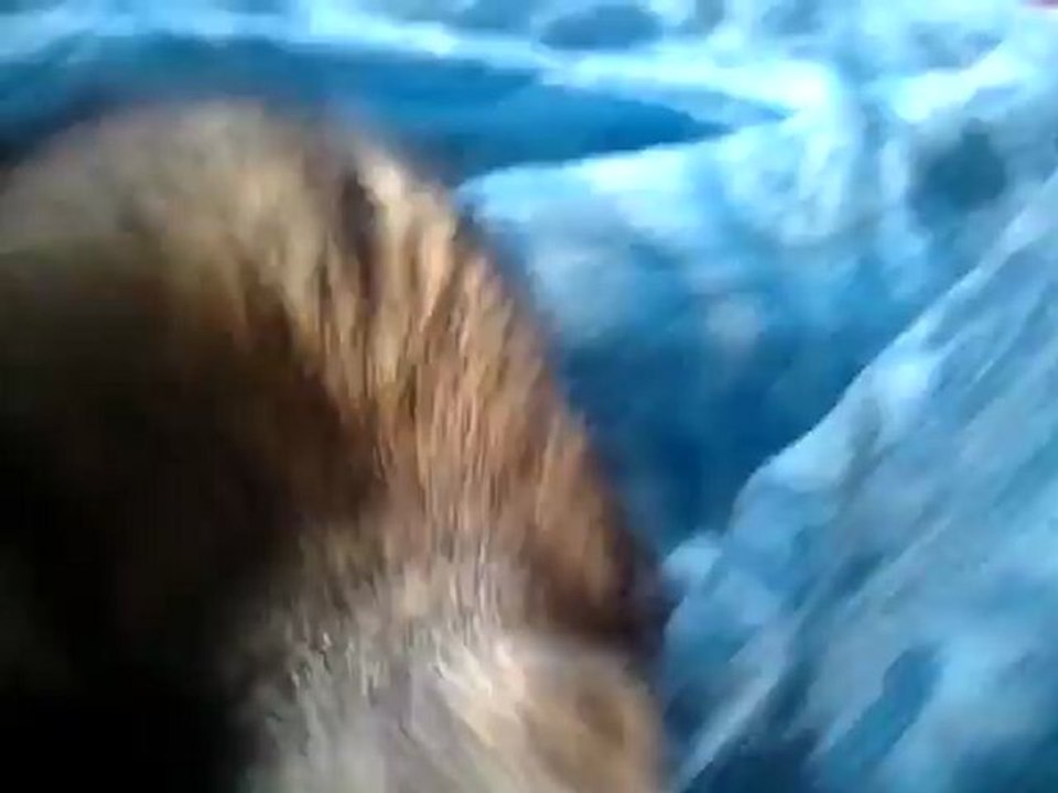 Suki séance jeux et poupoutage *_*