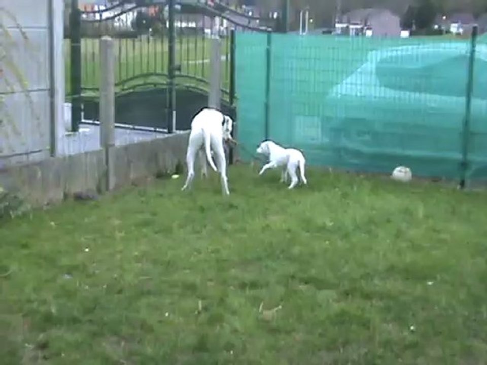 G'ZEUS et HATHENA